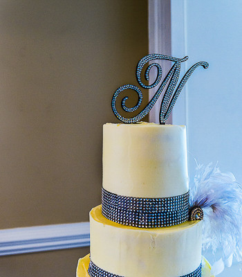 2015-08-15-MR. MRS.-Nobles0483